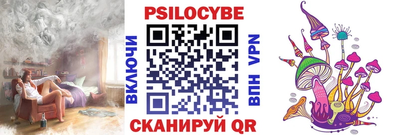 Псилоцибиновые грибы GOLDEN TEACHER Буйнакск